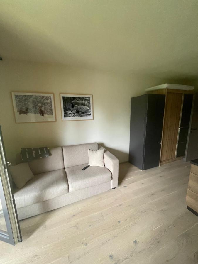 Apartman Pod Jasanem Hojsova Straz Brcalnik Apartment Zelezna Ruda Exterior photo