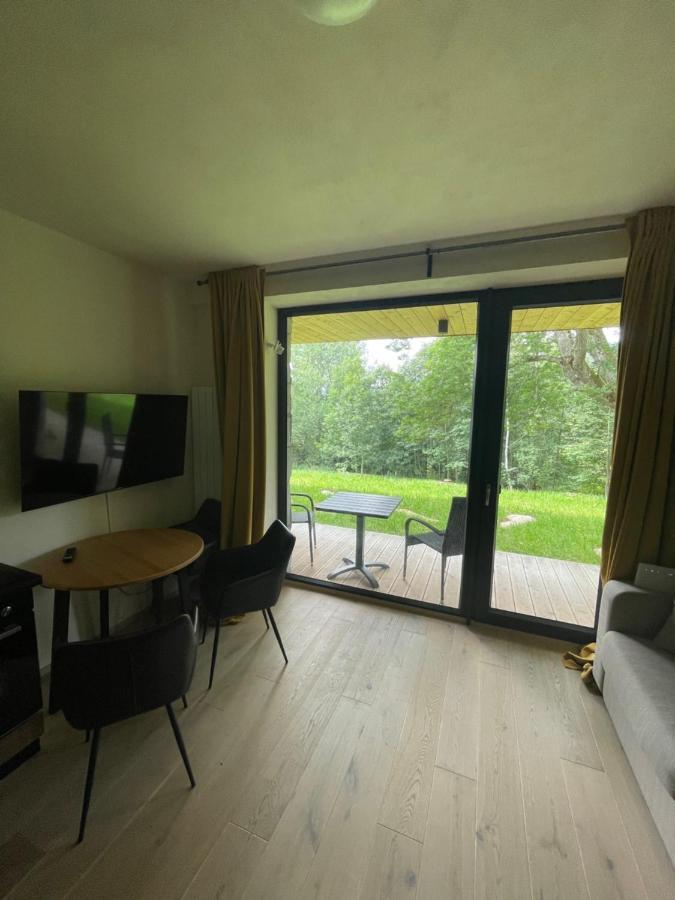 Apartman Pod Jasanem Hojsova Straz Brcalnik Apartment Zelezna Ruda Exterior photo