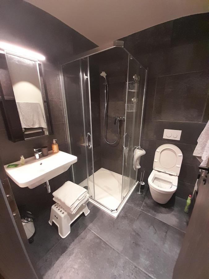 Apartman Pod Jasanem Hojsova Straz Brcalnik Apartment Zelezna Ruda Exterior photo