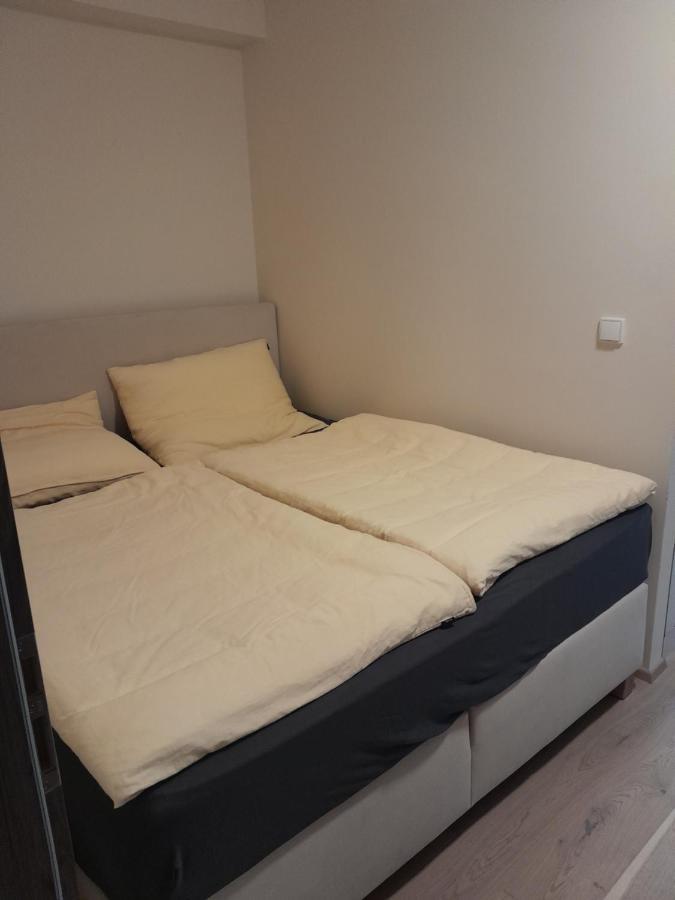 Apartman Pod Jasanem Hojsova Straz Brcalnik Apartment Zelezna Ruda Exterior photo